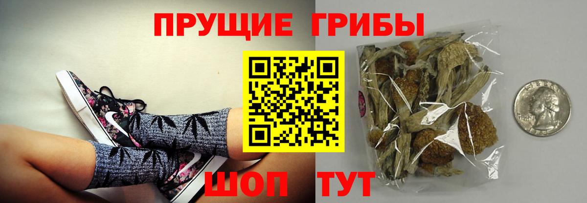Галлюциногенные грибы прущие грибы Ставрополь
