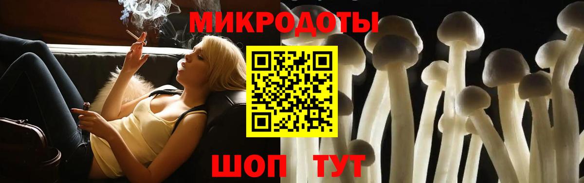 Галлюциногенные грибы Cubensis  Вход с VPN  Псилоцибиновые грибы мицелий  купить  цена  Ставрополь 